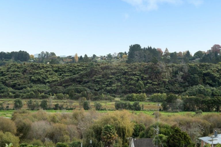 Photo of property in 49a Coopers Road, Gate Pa, Tauranga, 3112