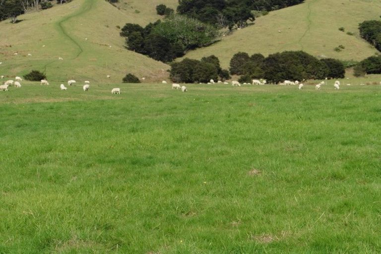 Photo of property in 344 Inland Road, Helensville, 0875