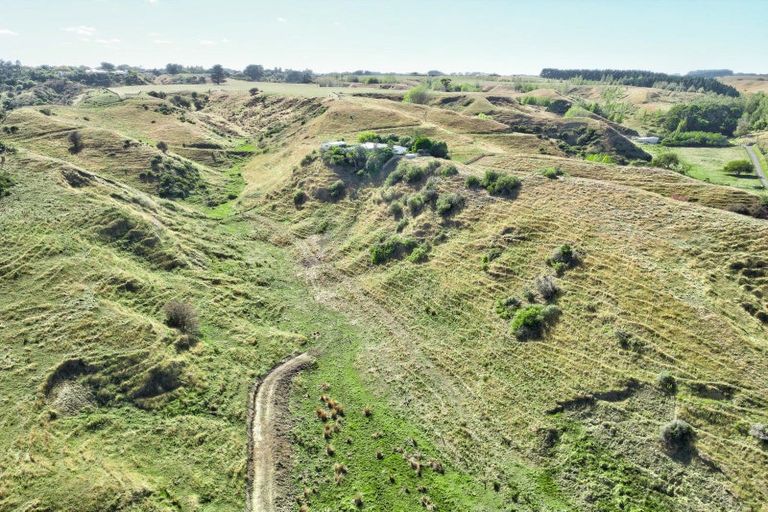 Photo of property in 47 Ngatarua Road, Putiki, Whanganui, 4500