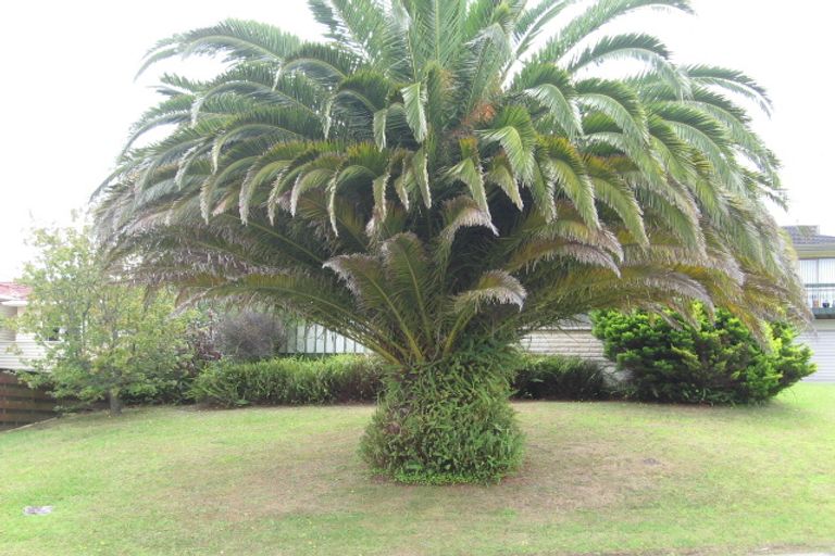 Photo of property in 1/3 Selwyn Crescent, Forrest Hill, Auckland, 0620