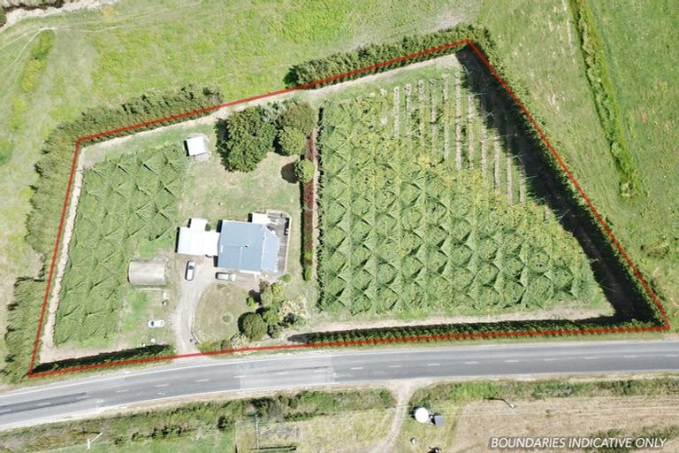 Photo of property in 120 Rotoehu Road, Pukehina, Te Puke, 3186