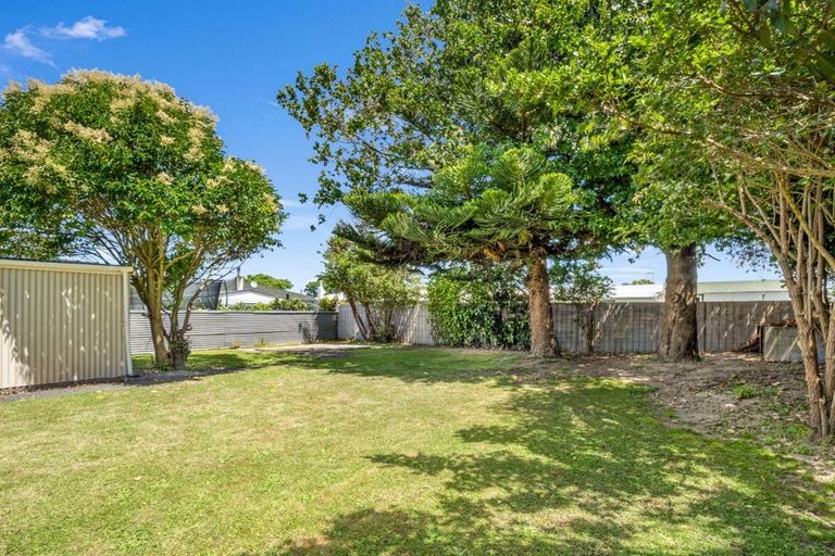 Photo of property in 48 Wood Street, Takaro, Palmerston North, 4410