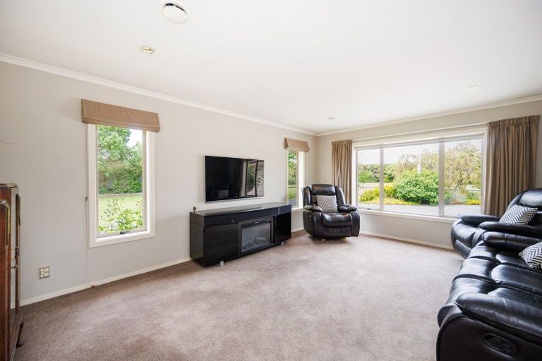 Photo of property in 167 Pharazyn Street, Feilding, 4702