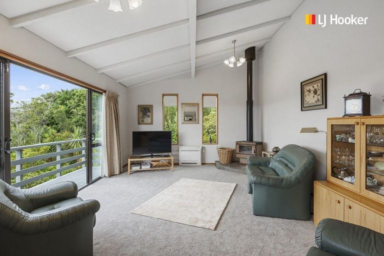 Photo of property in 43 Elliffe Place, Shiel Hill, Dunedin, 9013