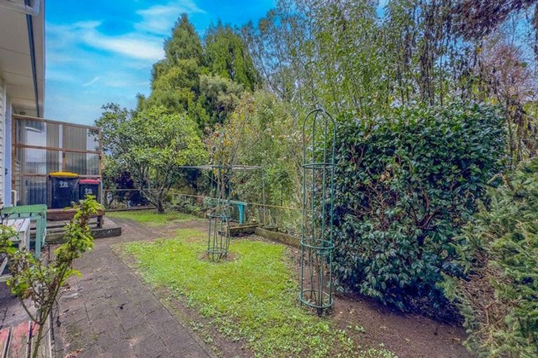Photo of property in 51 Arapuni Street, Putaruru, 3411