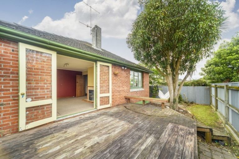 Photo of property in 115 Limbrick Street, Terrace End, Palmerston North, 4410