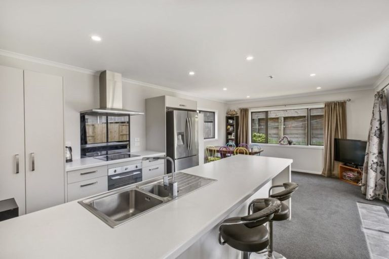 Photo of property in 59 Tennille Street, Flagstaff, Hamilton, 3210