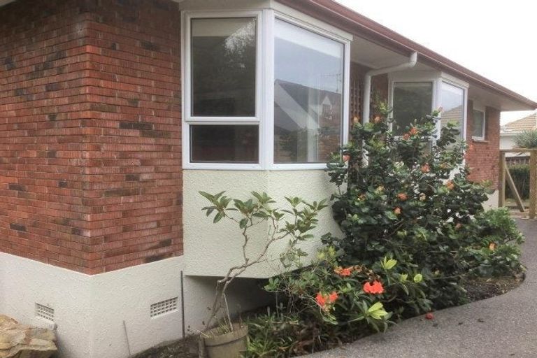 Photo of property in 50 Grange Road, Otumoetai, Tauranga, 3110
