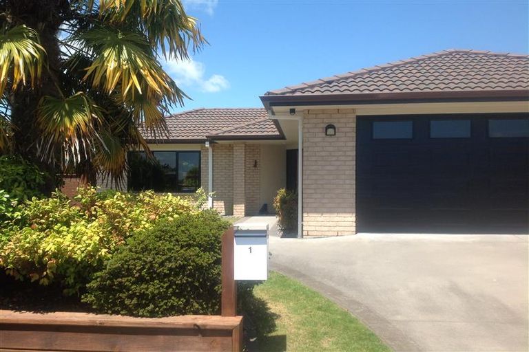 Photo of property in 1 Lancewood Court, Matamata, 3400