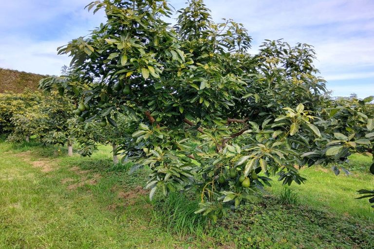 Photo of property in 328 Maungarangi Road, Paengaroa, Te Puke, 3189