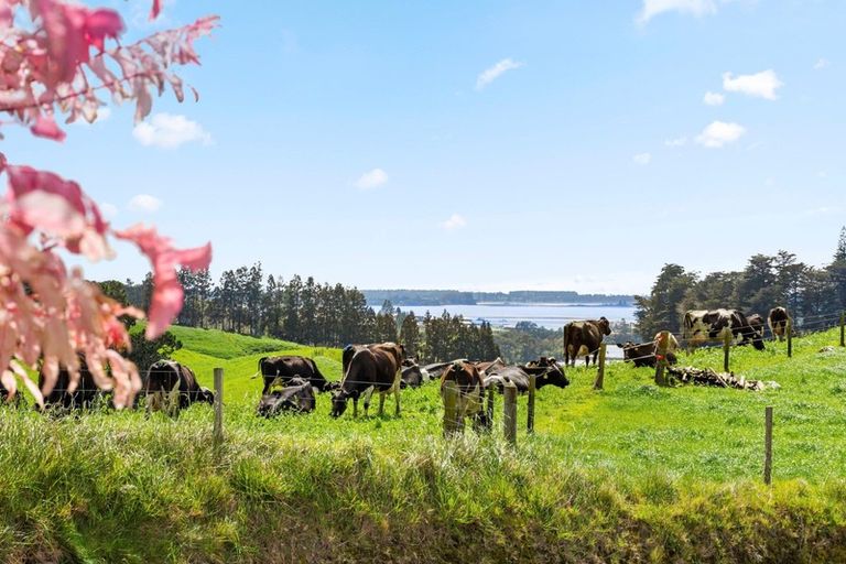 Photo of property in 332a Old Highway, Whakamarama, Tauranga, 3180