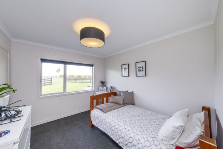 Photo of property in 132 Ngaio Road, Halcombe, Palmerston North, 4479