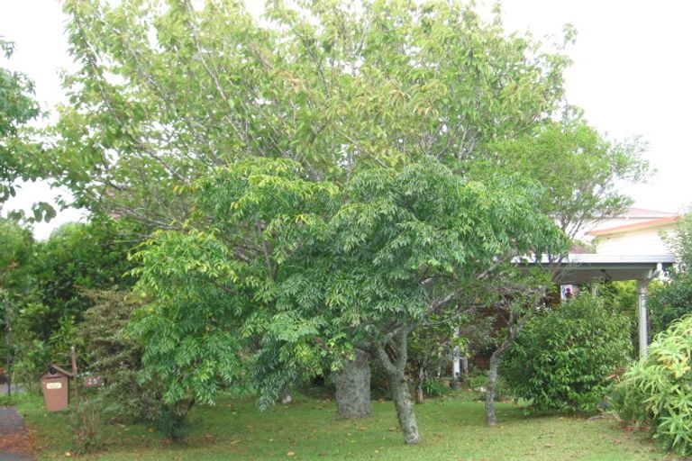 Photo of property in 2/29 Matuhi Rise, Henderson, Auckland, 0612