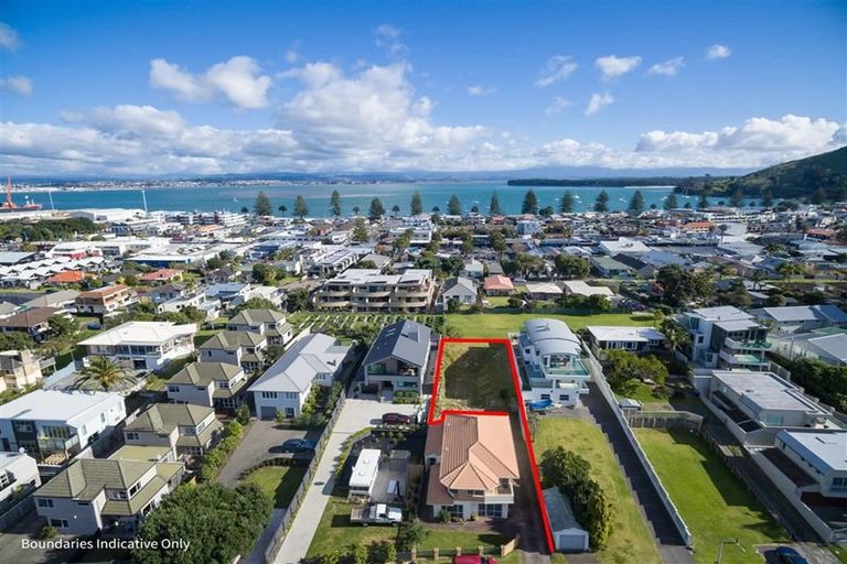 Photo of property in 24b Rita Street, Mount Maunganui, 3116