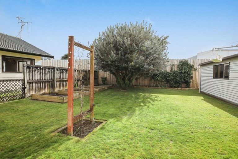 Photo of property in 24 Jasmine Avenue, Dinsdale, Hamilton, 3204