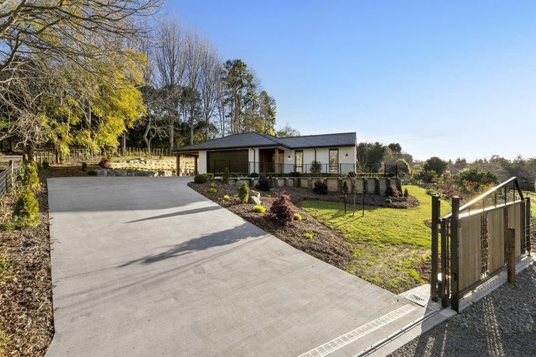 Photo of property in 134b Munro Road, Minden, Tauranga, 3179