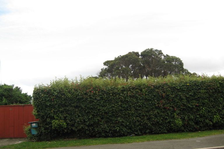 Photo of property in 20 Spottiswoode Street, Andersons Bay, Dunedin, 9013