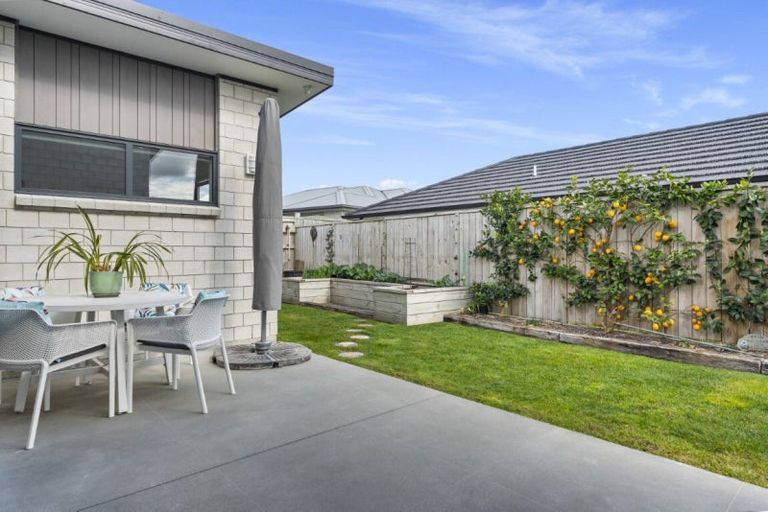 Photo of property in 24 Goodwin Crescent, Pyes Pa, Tauranga, 3112