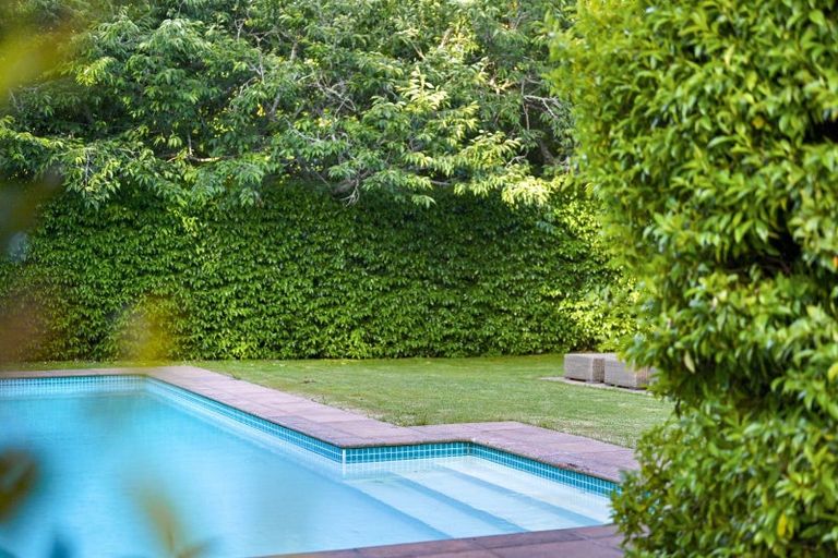 Photo of property in 342b Tamahere Drive, Tamahere, Hamilton, 3283