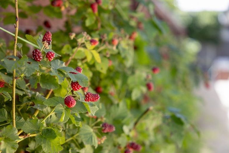 Photo of property in 53 Omega Place, Coastlands, Whakatane, 3120