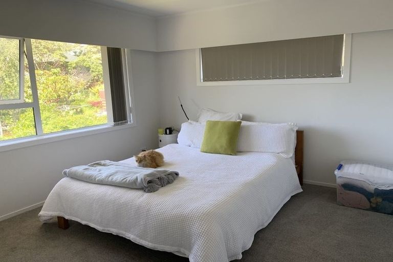 Photo of property in 49 Mayfair Crescent, Mairangi Bay, Auckland, 0630