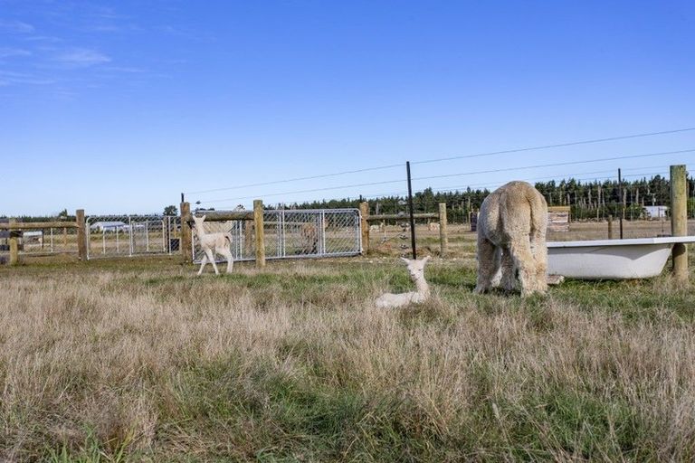 Photo of property in 529 Downs Road, Eyrewell, Rangiora, 7476