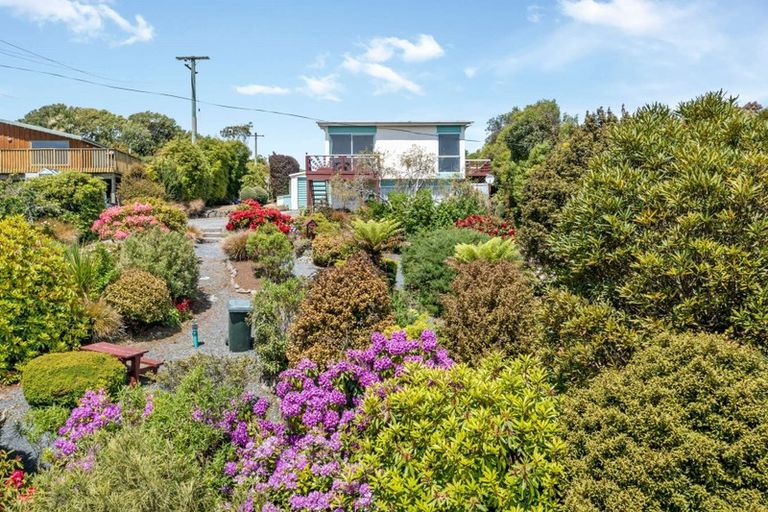 Photo of property in 31 Rata Street, Kaka Point, Balclutha, 9271