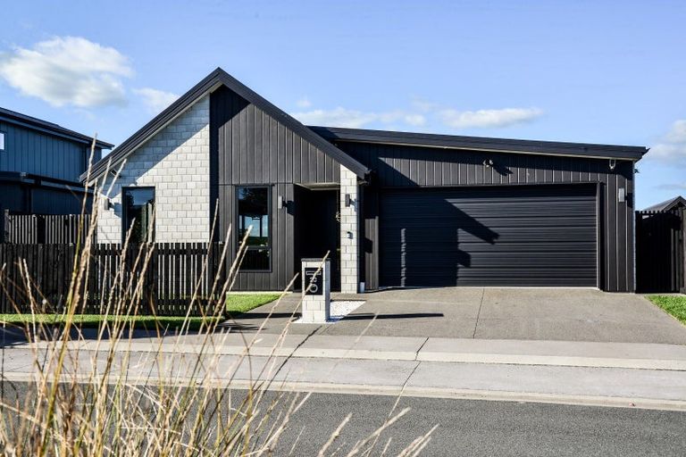 Photo of property in 20 Musselwhite Terrace, Chartwell, Hamilton, 3210
