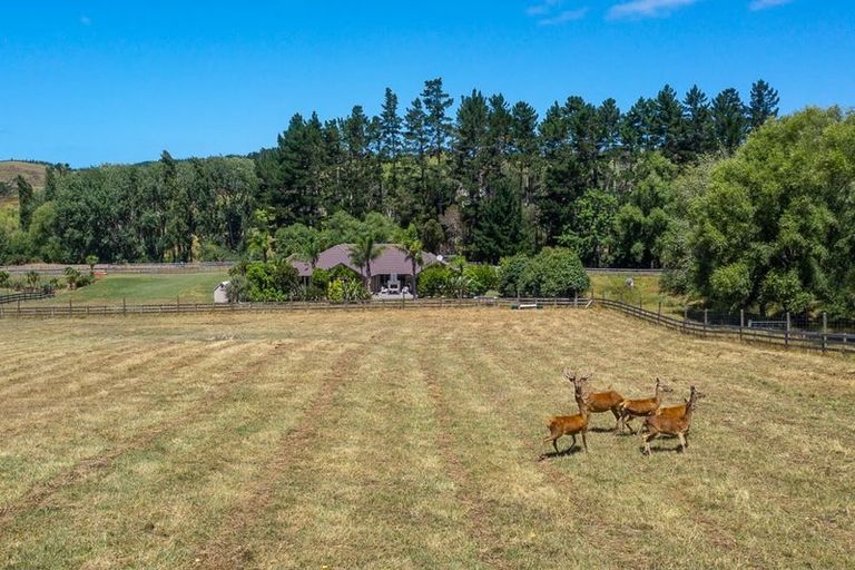 Photo of property in 8b Willow Lane, Stillwater, Silverdale, 0993