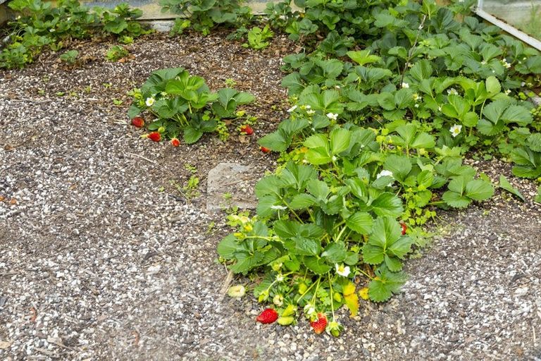 Photo of property in 18 Robertson Street, Elderslea, Upper Hutt, 5018