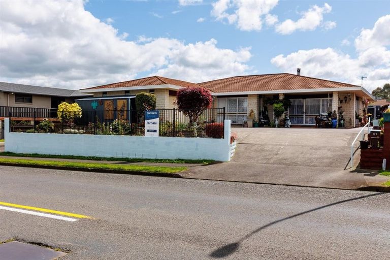 Photo of property in 117 Guy Street, Dannevirke, 4930