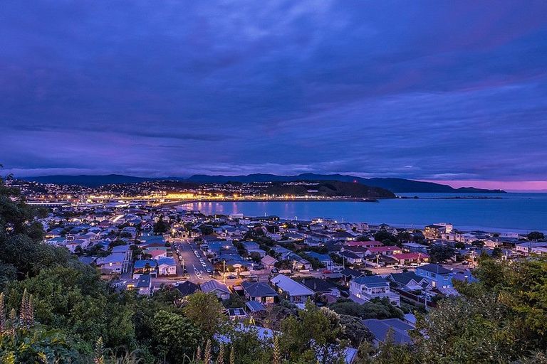 Photo of property in 43 Carlton Street, Melrose, Wellington, 6023