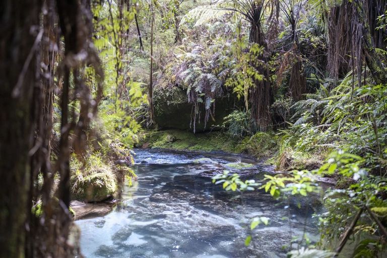 Photo of property in 52c Williams Road South, Pyes Pa, Tauranga, 3173