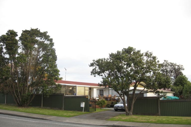 Photo of property in 62 Ruapehu Street, Paraparaumu, 5032