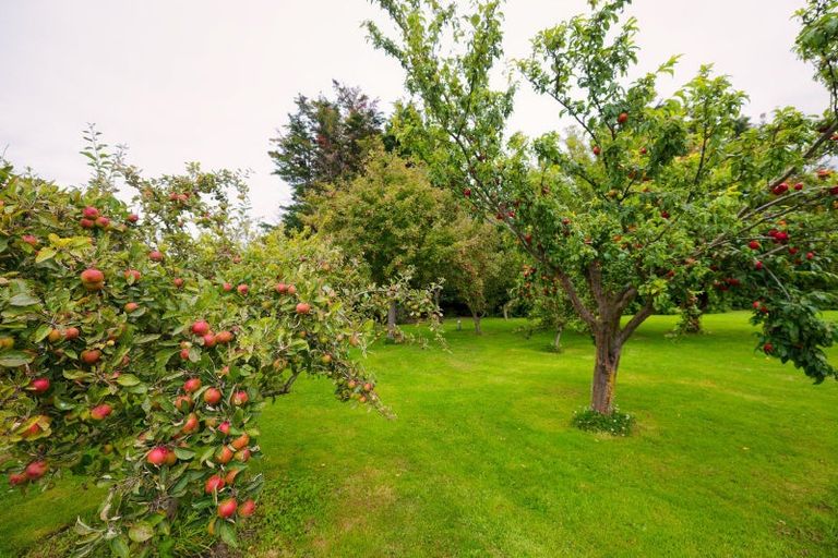 Photo of property in 25 Athelney Road, Kaikoura Flat, Kaikoura, 7371