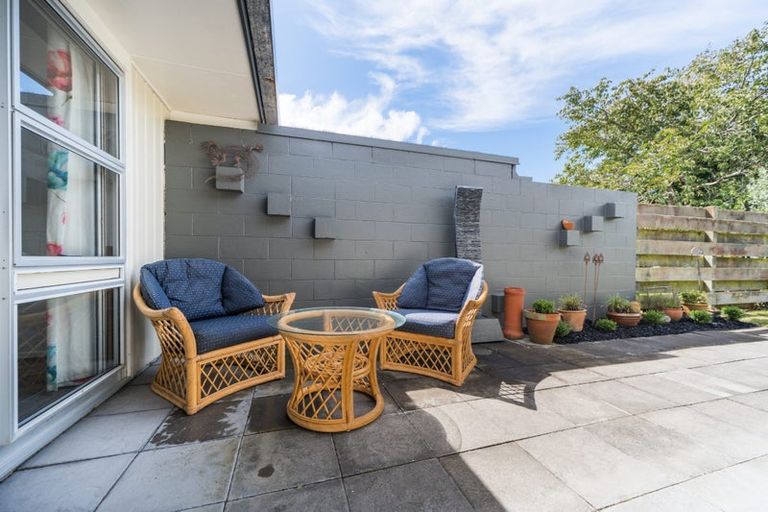 Photo of property in 22 Erin Street, Hokowhitu, Palmerston North, 4410