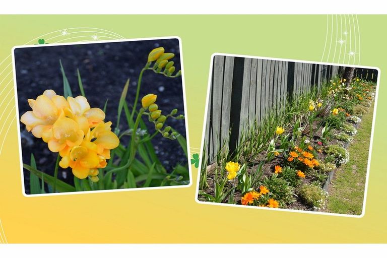 Photo of property in 49 Holyoake Crescent, Kawerau, 3127