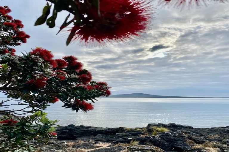 Photo of property in 11 Ocean View Road, Milford, Auckland, 0620