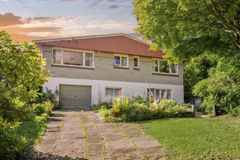 Photo of property in 87 Kaikorai Valley Road, Glenross, Dunedin, 9011