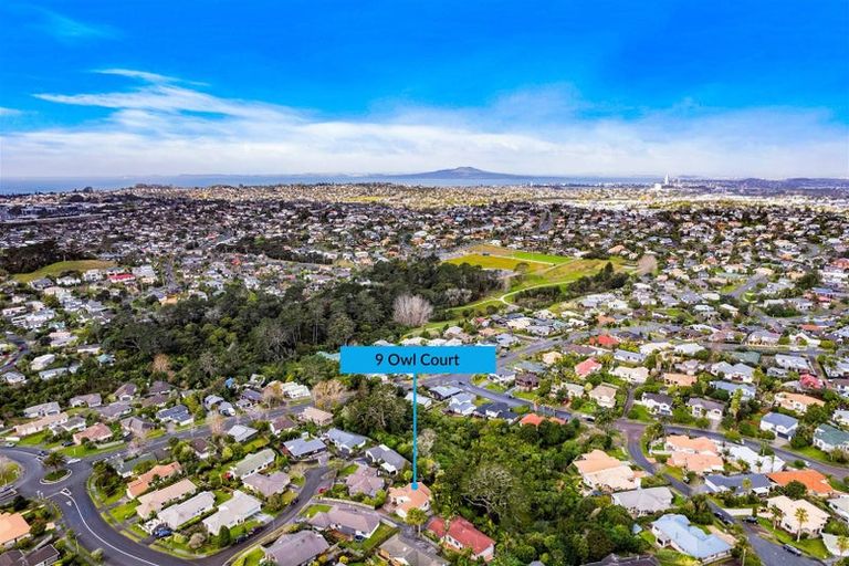 Photo of property in 9 Owl Court, Unsworth Heights, Auckland, 0632