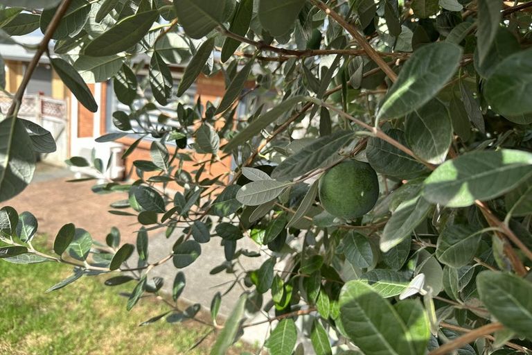 Photo of property in 4/7 Mona Avenue, Mangere Bridge, Auckland, 2022