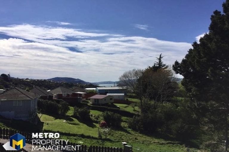 Photo of property in 90 Columba Avenue, Calton Hill, Dunedin, 9012