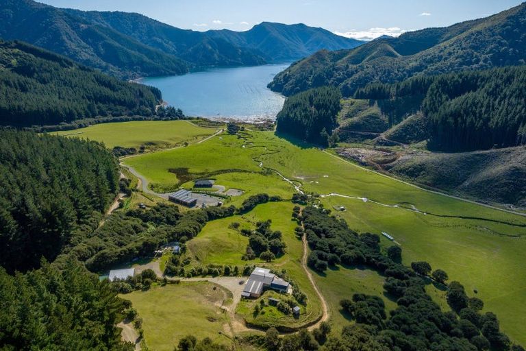 Photo of property in 344 Crail Bay Road, Crail Bay, Marlborough Sounds, 7282