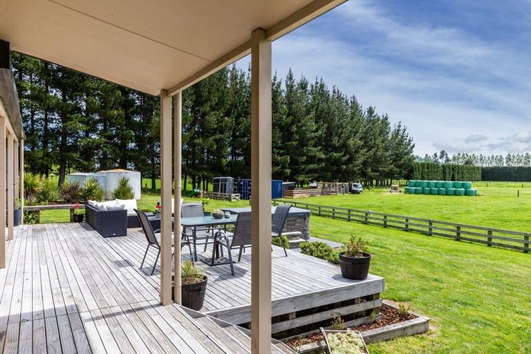 Photo of property in 49 Riverlea Downs, Broadlands, Reporoa, 3081
