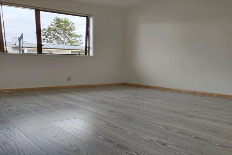 Photo of property in 49 Dissmeyer Drive, Clover Park, Auckland, 2019