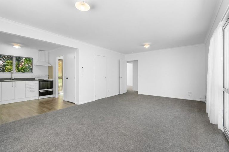 Photo of property in 222a Old Farm Road, Hamilton East, Hamilton, 3216