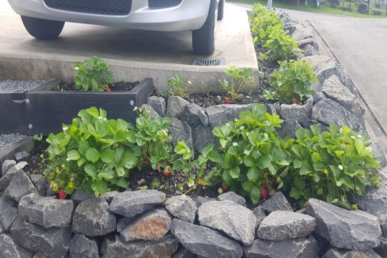 Photo of property in 4 Cole Terrace, Te Kamo, Whangarei, 0112