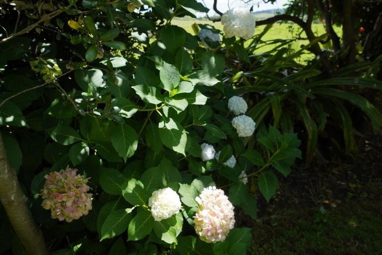 Photo of property in 207 Marsden Point Road, Ruakaka, 0116