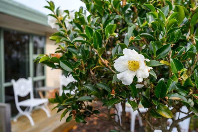 Photo of property in 144 Manchester Street, Feilding, 4702