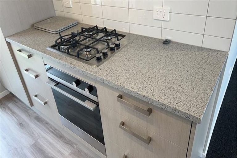 Photo of property in 111 Hinemoa Street, Levin, 5510